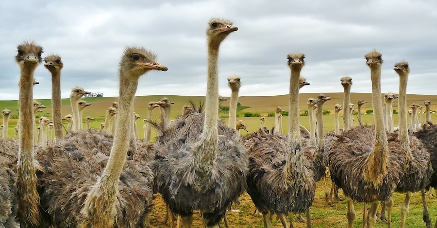 The hidden reason buyers ignore your message