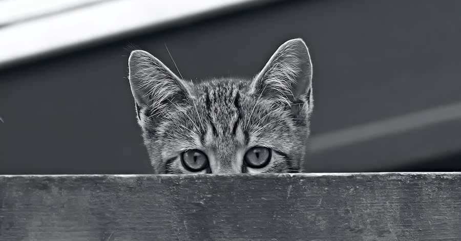Why giving away the answer might be costing you attention